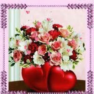 Meet your Posher, Kenande